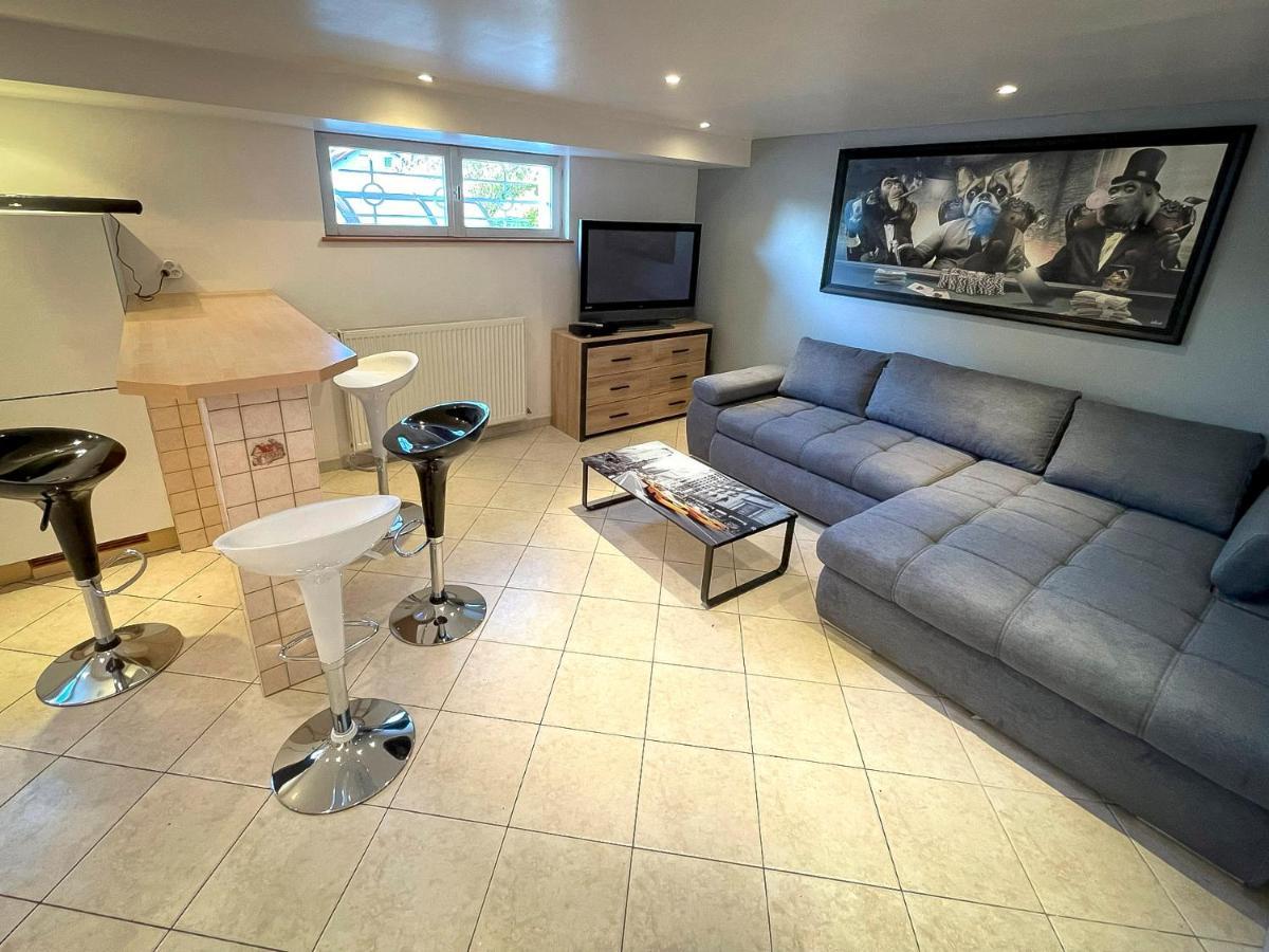 Villa 250M2 Avec Piscine Chauffee & Spa & Kota-Grill & Sauna Saint-Die-des-Vosges Buitenkant foto
