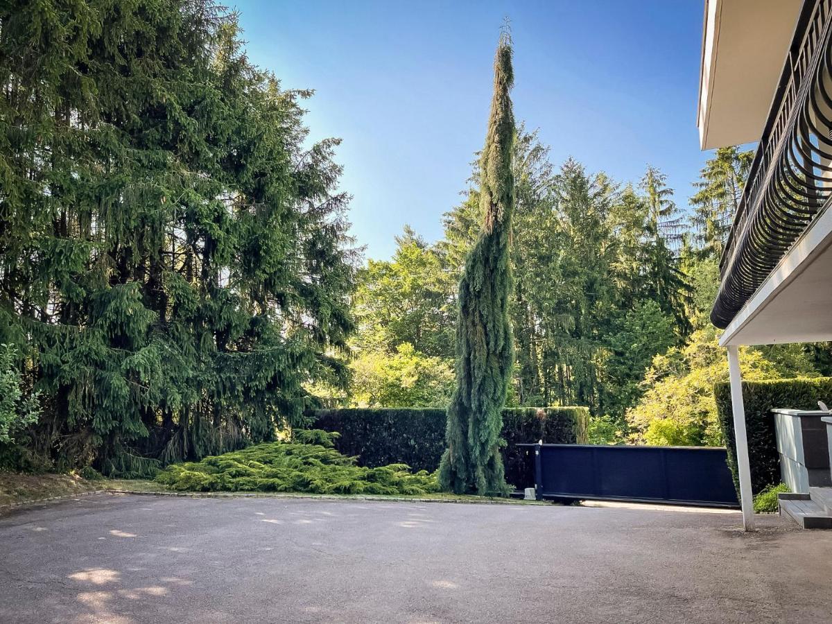 Villa 250M2 Avec Piscine Chauffee & Spa & Kota-Grill & Sauna Saint-Die-des-Vosges Buitenkant foto